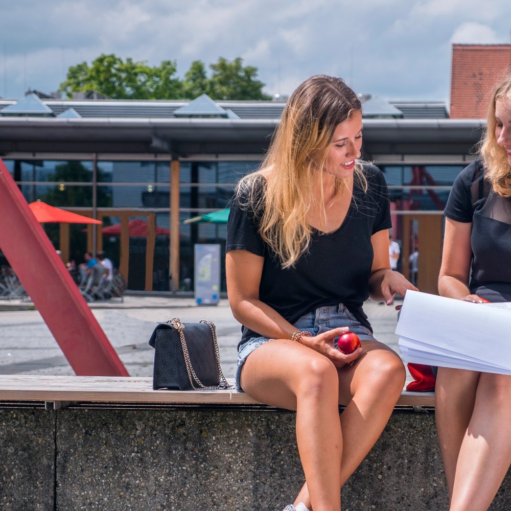 Studium: Interkulturelles Management