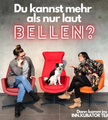 Pflichtpraktikum